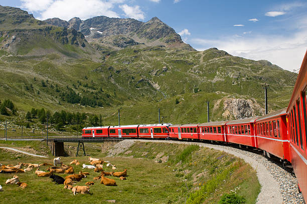 Bernina Express "UNESCO World Heritage line: Bernina Express, Bernina Hospice, Switzerland" graubunden canton stock pictures, royalty-free photos & images