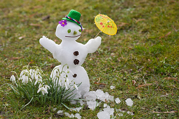 besides flowers a small snowman stands on the meadow and melts before him melting snow man stock pictures, royalty-free photos & images