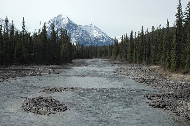 Beutiful landscape, Rocky Mountains, Alberta, Canada stock photo