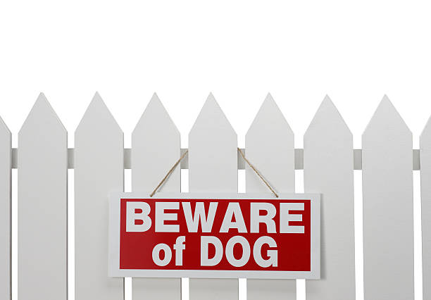 Beware of Dog stock photo
