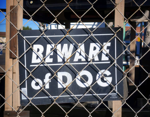 beware of dog sign beware of dog sign on fence animals attacking stock pictures, royalty-free photos & images