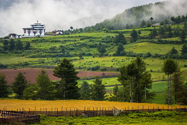 Bhutan landscape stock photo