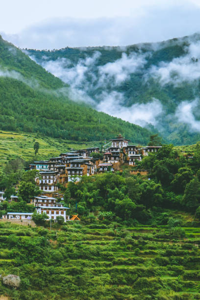 Bhutanese village near the river at Punakha, Bhutan stock photo