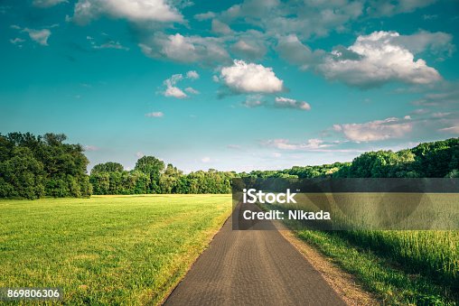 istock Bicycle Lane along meadow surrounded by forest 869806306