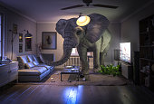 istock big elephant inside a living room 1307373974