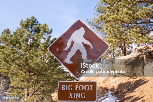 istock Big Foot Crossing Sign 1317658716