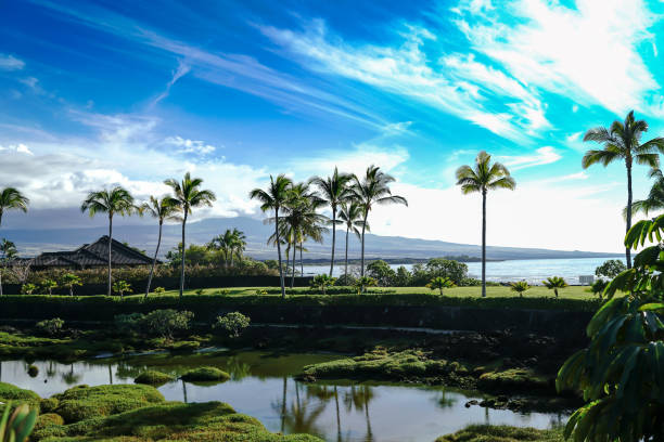 Big Island, Hawaii Landscape Hawaii, Big Island big island hawaii islands stock pictures, royalty-free photos & images