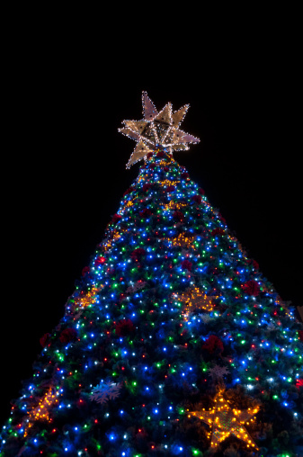 Big Lighten up Christmas tree