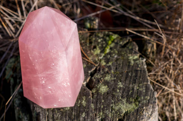 Big point piece of rose quartz standing on an old tree in the forest in autum Big point piece of rose quartz standing on an old tree in the forest in autum rose quartz stock pictures, royalty-free photos & images