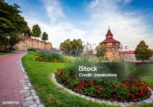 istock Big Tower behind the flowers. 507899701