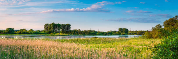 Big Waters Nature Reserve Panorama Big Waters Nature Reserve located in south east Northumberland near Newcastle is a large subsidence pond nature reserve stock pictures, royalty-free photos & images
