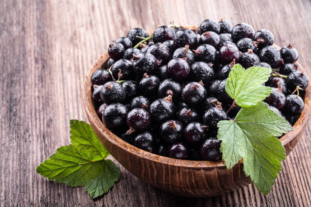 Big wooden bowl with fresh black currant and original leaves on wooden background stock photo
