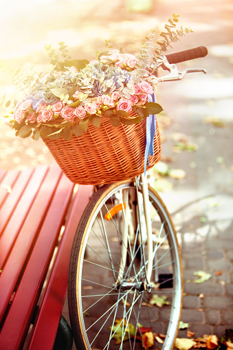 Bike with basket of spring flowers in park near bench in sunlight in sunset or sunrise. Beginning of new season of discounts.
