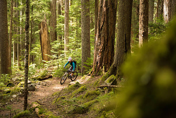 Biking in a pristine forest stock photo