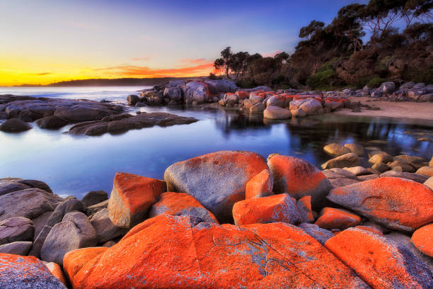 TAS Binalong Red Rocks Organic painting of ocean shaped bazalt rocks in Bay of Fires near Binalong of Tasmania at sunrise. Bright red colour from bacteria on surface of the rocks. tasmania photos stock pictures, royalty-free photos & images