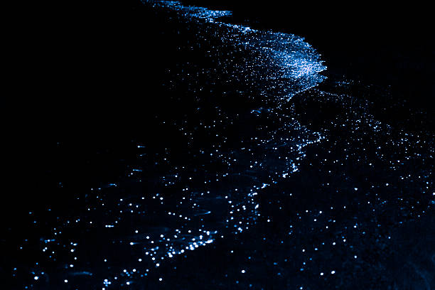 Bio luminescence. Illumination of plankton at Maldives. Illumination of plankton at Maldives. Many particles at black background. bioluminescence stock pictures, royalty-free photos & images