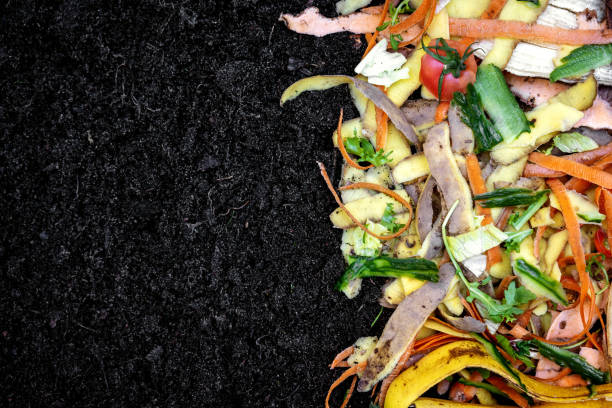 biodegradable kitchen waste on soil. composting organic food leftovers. copy space stock photo