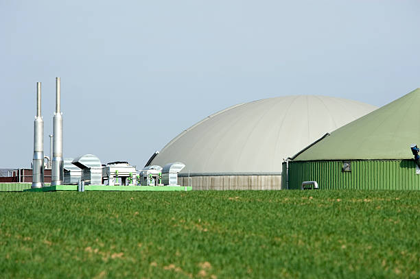Biomass energy plant, Germany. stock photo