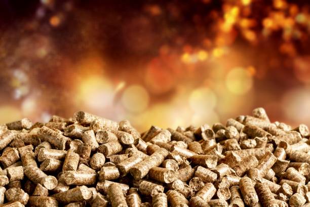Biomass. Pellets Biomass- close up on background granule stock pictures, royalty-free photos & images