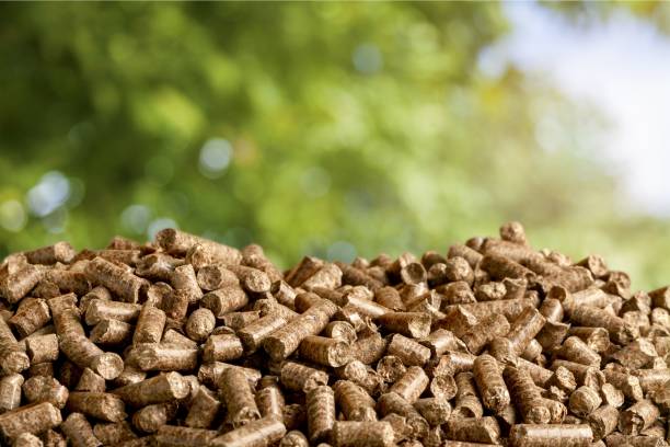 Biomass. Pellets Biomass- close up on background granule stock pictures, royalty-free photos & images