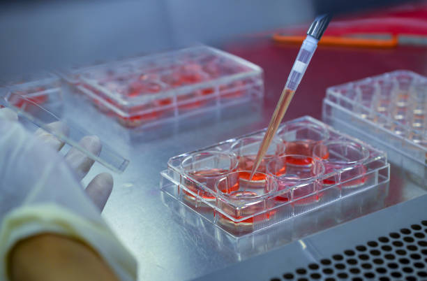Biomedical research in laboratory stock photo