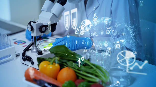 biotechnologisches konzept. lebensmitteltechnologie. ernährungswissenschaft. - food data stock-fotos und bilder