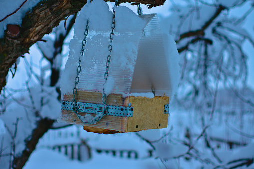Bird feeder in the form of a house in the winter garden