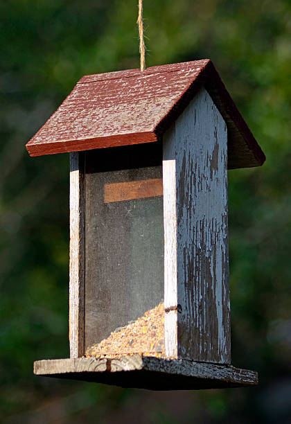 Bird feeder stock photo