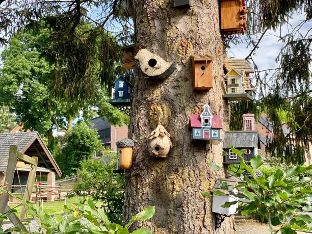 Bird houses on pine tree stock photo