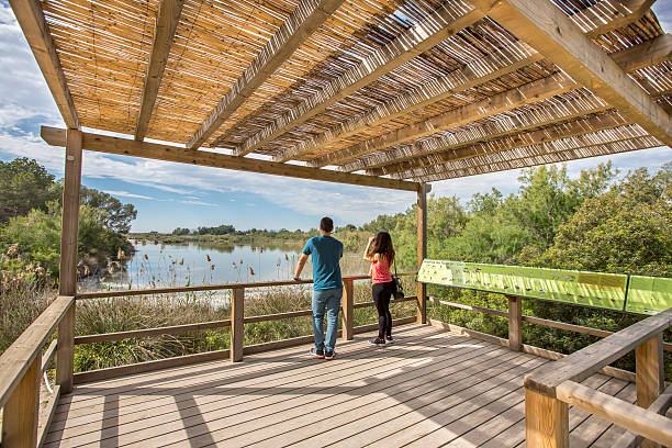 Bird Observatory Albufera natural reserve, Valencia, Spain. 3th may, 2015. Two people waching for birds in a bird observatory of the Natural Park of the Albufera, Valencia.  albufera stock pictures, royalty-free photos & images