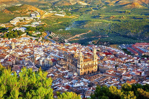 Bird view of Jaen city surrounded by olive groves, Spain stock photo