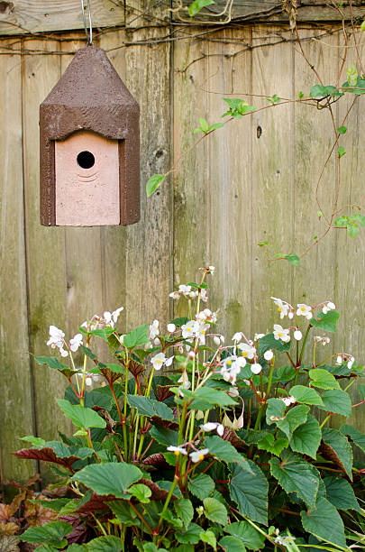 Birdhouse in a garden stock photo