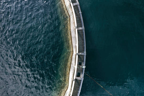 Bird's Eye View of a Fish Pen in an Aquaculture Farm Fish farms in Norway produce millions of tonnes of cod and pollock for the international market. The aquaculture farms keep fish stocks in safe habitats with routine feedings fish hatchery stock pictures, royalty-free photos & images