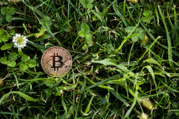 Bitcoin on the grass stock photo