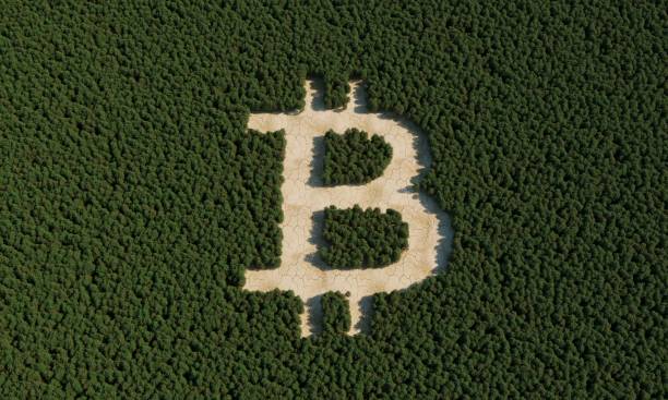 Bitcoin Sign In Forest stock photo
