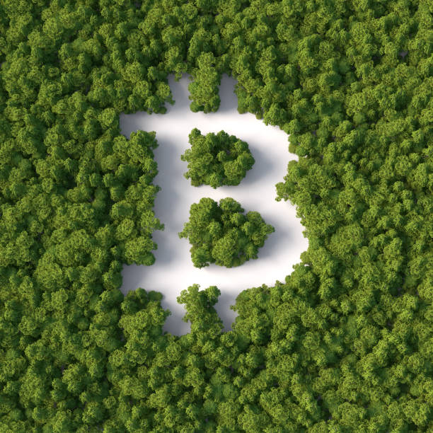 Bitcoin in the Forest 