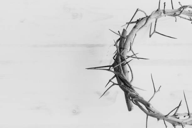 Black and white crown of thorns  good friday stock pictures, royalty-free photos & images