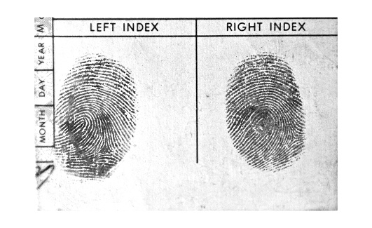 A set of black and white index finger fingerprints. Some copy space.