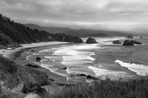 Oregon Coast landscape