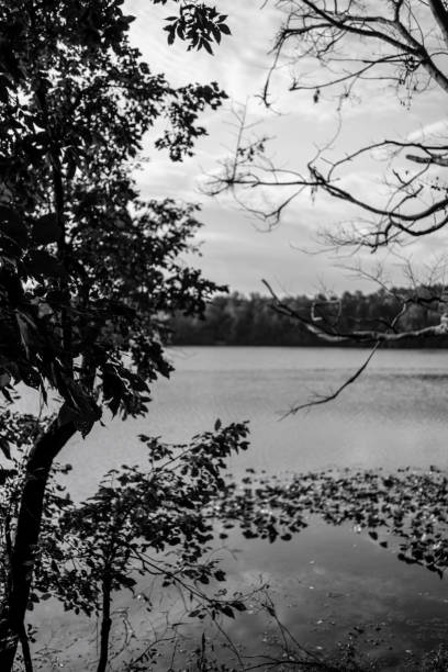 Black and white lake stock photo