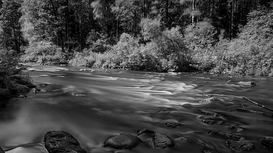 Black and white landscape with river in the forest and water flow. Forest and flowing water in sunlight. HDR image, long exposure