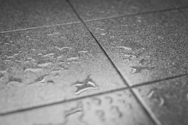 Black and white Selective focus of Water drops on the tile floor texture background stock photo