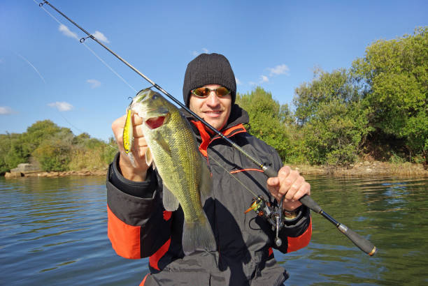 Black Bass fishing, catch of fish fishing scene, boat fishing, happy and lucky fisherman holding a big bass fish white perch fish stock pictures, royalty-free photos & images