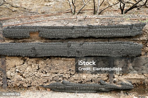 istock Black burned wood after a fire 1416998726