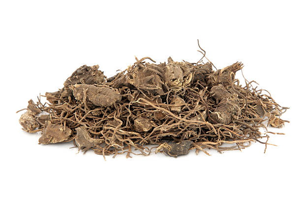 Black Cohosh Root Herb stock photo
