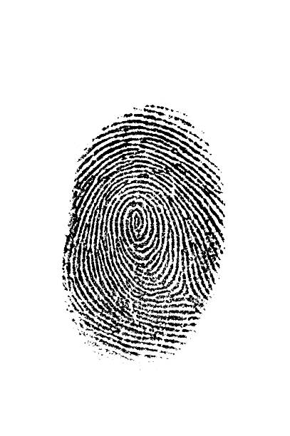 Black Fingerprint on White Black fingerprint on white. fingerprint stock pictures, royalty-free photos & images