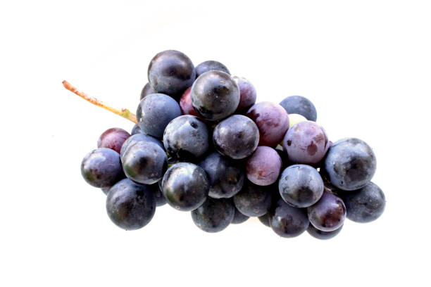 black grapes on white background - uvas imagens e fotografias de stock