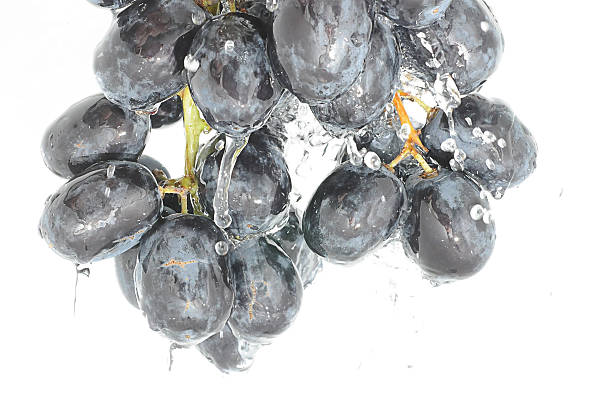 Black grapes with water splash stock photo