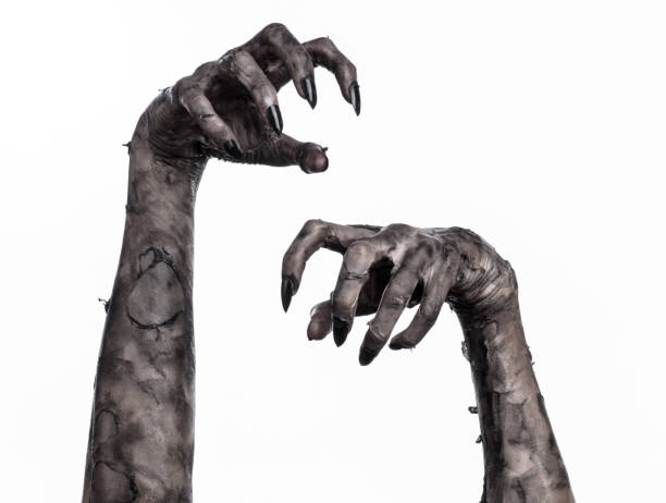 black hand of death, the walking dead, zombie theme, halloween theme, zombie hands, white background, isolated, hand of death, mummy hands, the hands of the devil, black nails, hands monster black hand of death, the walking dead, zombie theme, halloween theme, zombie hands, white background, isolated, hand of death, mummy hands, the hands of the devil, black nails, hands monster dead photos stock pictures, royalty-free photos & images