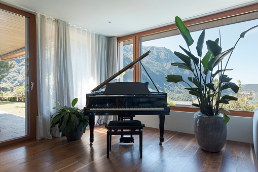 Black piano, patio with garden. Large window overlooking the valley with lake view. Nobody inside